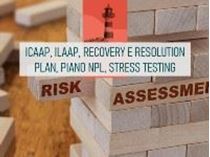 Immagine di ICAAP, ILAAP, Recovery e Resolution plan, Piano NPL, Stress testing