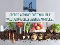 Immagine di Credito agrario: sostenibilità e valutazione delle aziende agricole e agroalimentari