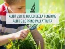 Immagine di Audit ESG: il ruolo della funzione Audit e le principali attività
