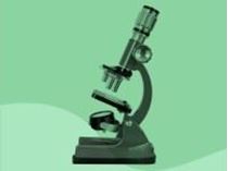 Immagine di Controllare l'algoritmo: come auditare l'intelligenza artificiale