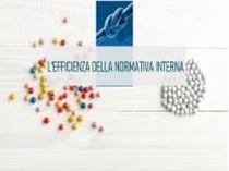 Immagine di L'efficienza della normativa interna