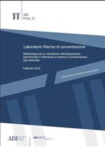 Immagine di Metodologia sul Rischio di concentrazione geo-settoriale